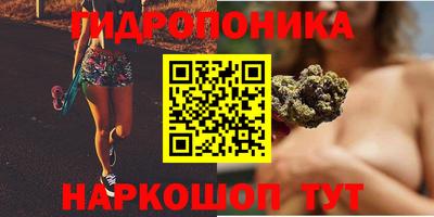 стаф Сланцы