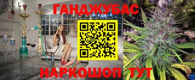 стаф Сланцы