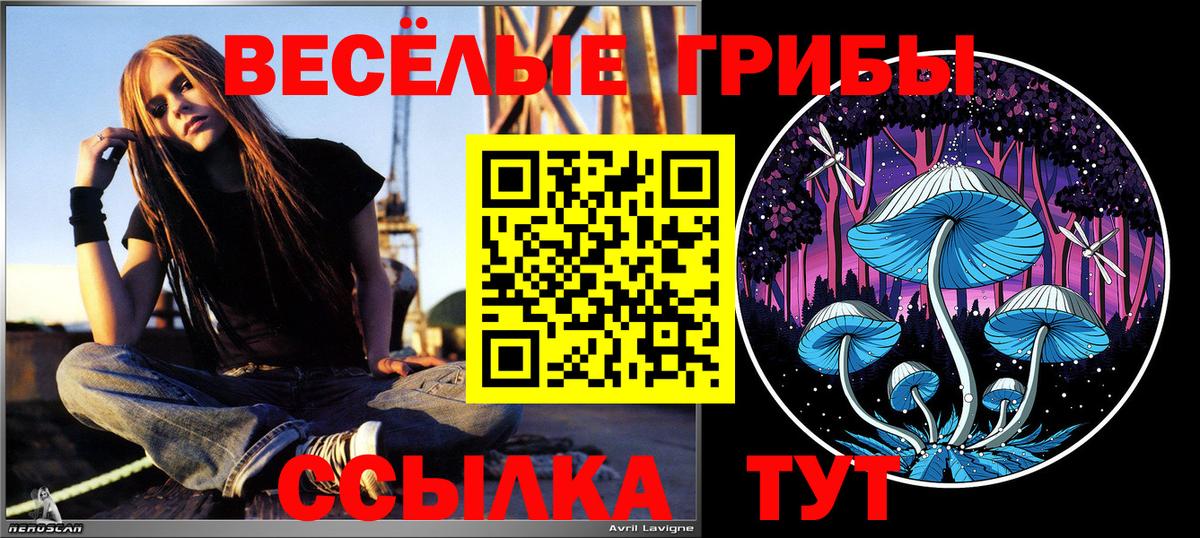 Псилоцибиновые грибы прущие грибы Нерюнгри