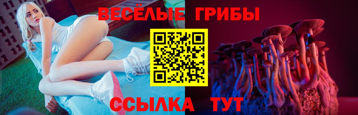 где найти наркотики  Галлюциногенные грибы MAGIC MUSHROOMS  Вход с VPN  Нерюнгри  Галлюциногенные грибы ЛСД 